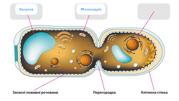 0603ca26-426e-610x346.png