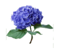 0603cax4-87fd-118x98.png