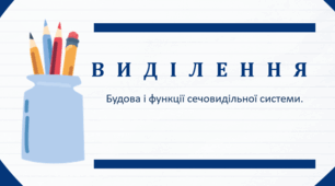 Презентація до уроку біології  з теми " Виділення"