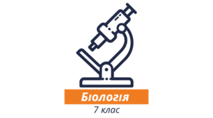 Презентація "Загальна характеристика кільчастих чеврів. Дослідження №11 зовнішньої будови та особливостей руху кільчастих чеврів на прикладі дощового черв’яка. Різноманітність кільчастих червів та їхнє значення в екосистемах "