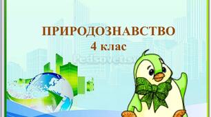 Рослинний і тваринний світ Антарктиди