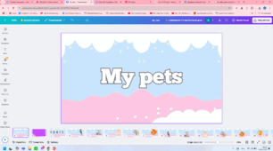 My pets