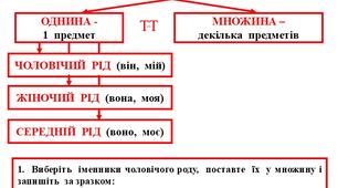 Робочі  аркуші  "Навчаюся  визначати  рід  і  число  іменників"