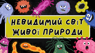 Невидимий світ неживої природи