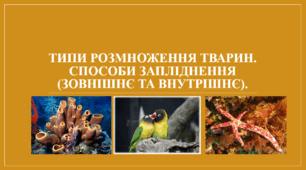 Презентація "Типи розмноження тварин. Способи запліднення (зовнішнє та внутрішнє)."