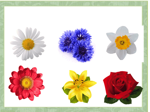 0603cqw1-107d-480x360.png
