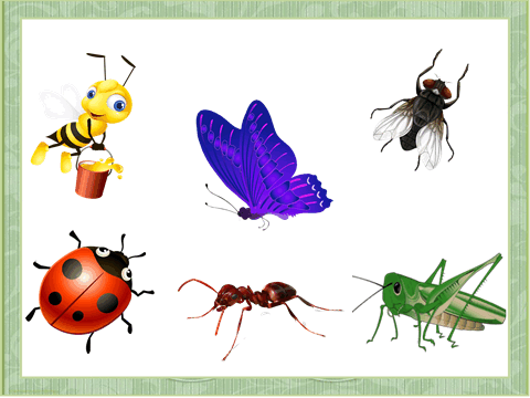0603cqwb-5644-480x360.png