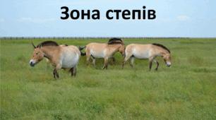 Презентація до уроку: "Зона степів"