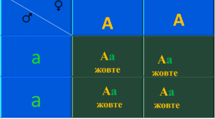 "І,ІІ закони Г. Менделя" тест 9 клас