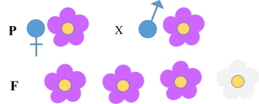 0603cub3-1a24-379x152.png