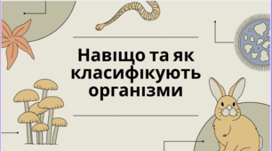Навіщо та як класифікують організми