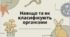 Навіщо та як класифікують організми