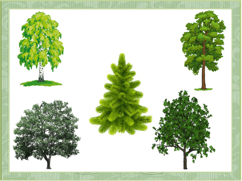 0603cwbx-0ab0-480x360.png