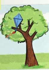 0603cwdf-c526-164x234.png