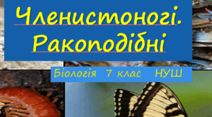 Презентація  до уроку  «§ 38. Членистоногі. Ракоподібні»   7 клас НУШ