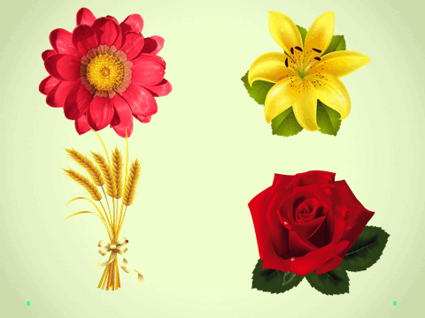 0603cwic-520e-480x360.png