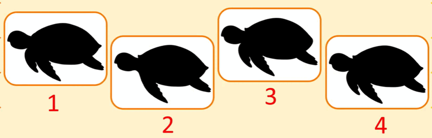 0603cwk4-01db-848x272.png