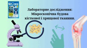 Лабораторне дослідження: Мікроскопічна будова кісткової і хрящової тканини.