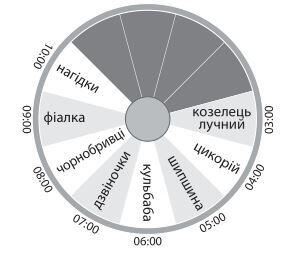 0603czdu-d965-284x257.jpg