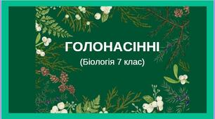Презентація "Голонасінні"