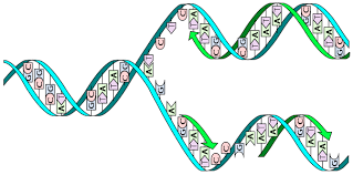0603d18w-415c-319x158.png