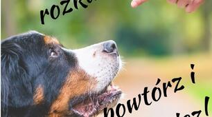 Tryb rozkazujący w polskim (Наказовий спосіб)