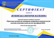  Сертифікат ДСЯОУ "Підготовка експертів до оцінювання професійних компетентностей вчителів початкових класів" 2022