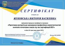  Сертифікат ДСЯОУ "Підготовка експертів до оцінювання професійних компетентностей вчителів початкових класів під час сертифікації" 2021