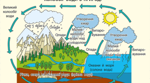 Презентація Розподіл води, Колообіг та значення води для життя 5 клас