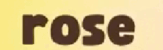 0603dcam-2514-236x72.png