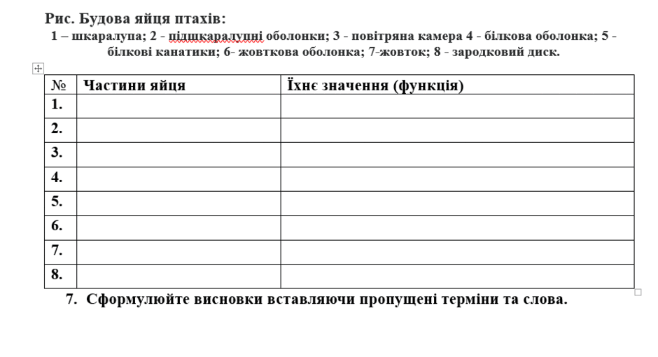 0603dclm-057e-940x510.png