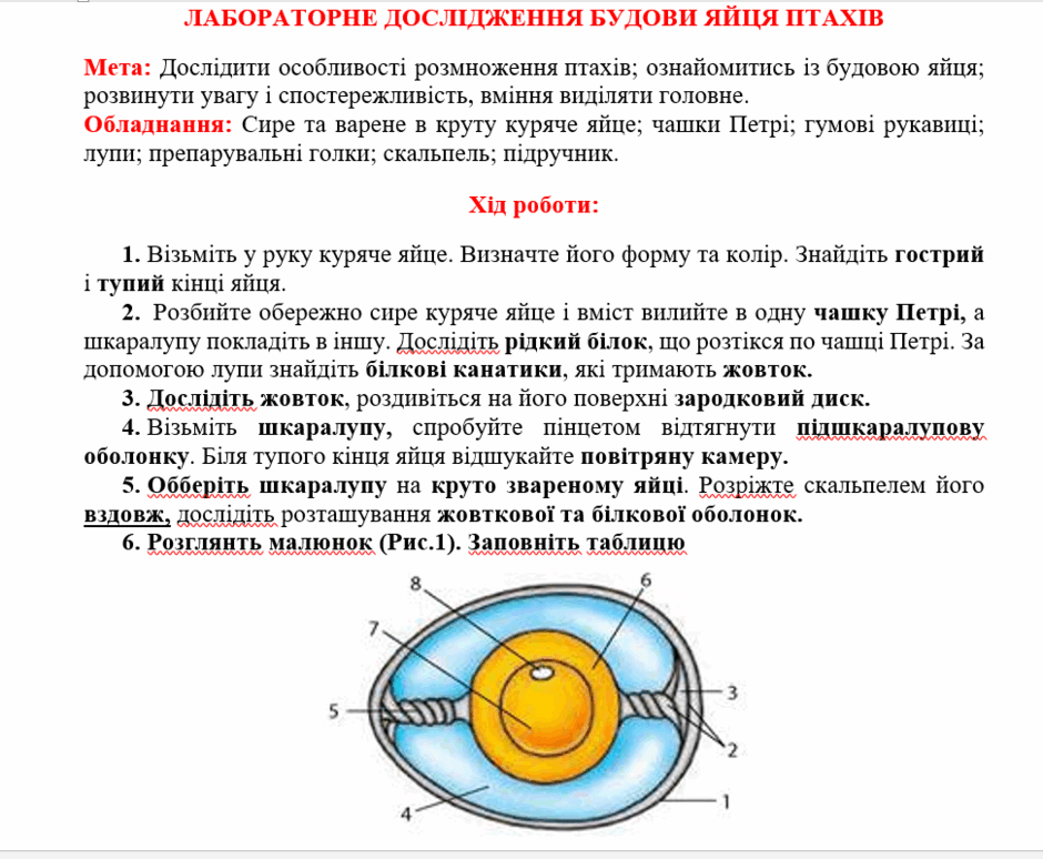 0603dcln-00c5-940x774.png