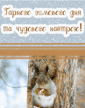 0603dd3h-7359-270x343.png