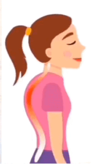 0603ddbh-b085-188x343.png