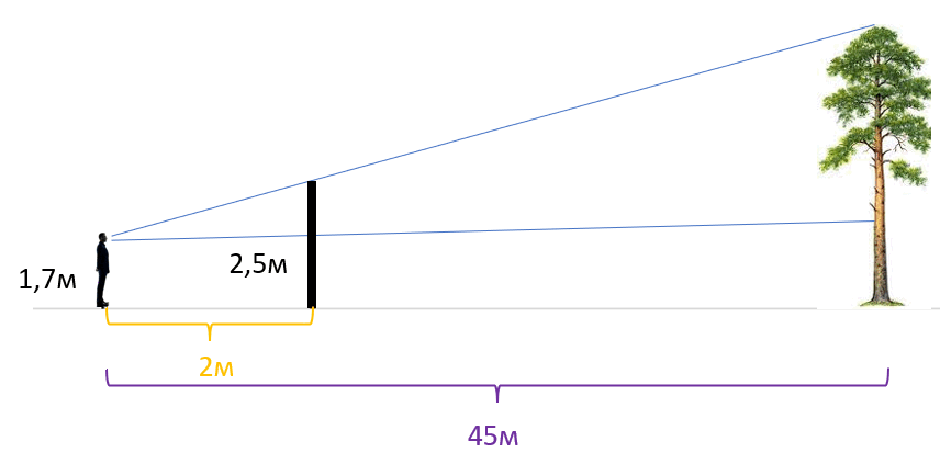 0603dds8-a1cf-856x423.png