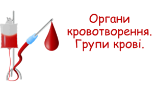 Органи кровотворення. Групи крові. 8 клас НУШ