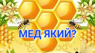Дидактична гра "Мед який?"