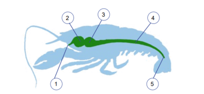 0603dl9b-3ac4-415x191.png