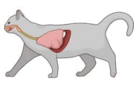0603dmla-e357-282x189.png