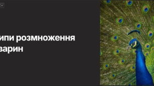Презентація "Типи розмноження тварин"
