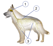 0603dmq1-4889-214x185.png