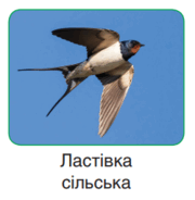 0603dpxm-891c-180x184.png