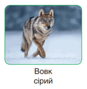0603dpxp-77da-176x180.png