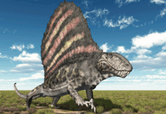 0603drgx-4046-199x137.png