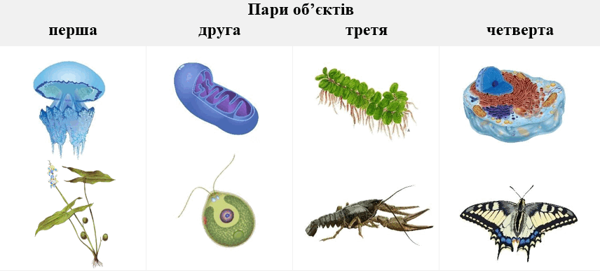 0603dvzj-4b64-856x390.png