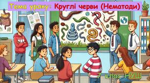 Презентація з біології: Круглі черви (Нематоди). 7 клас НУШ.