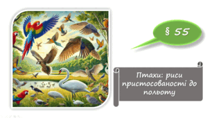   7 клас НУШ. Птахи: риси пристосованості до польоту