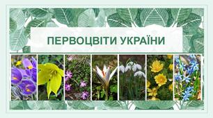Первоцвіти