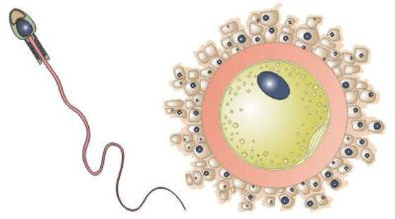 0603dxua-98eb-560x311.jpg