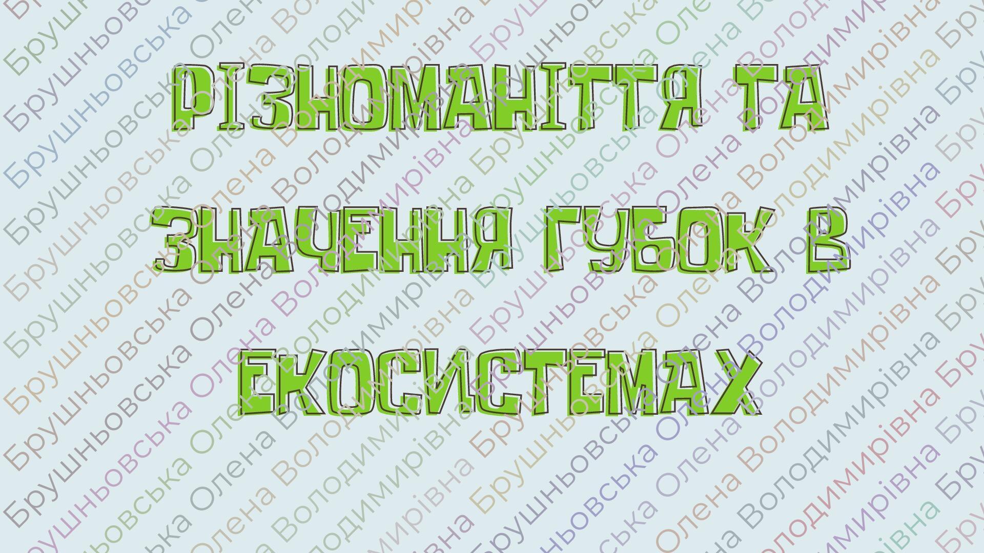 § 26. Різноманіття та значення губок в екосистемах | Презентація. Біологія